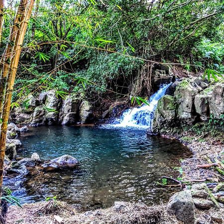 Hamakua Guesthouse Pepeekeo ภายนอก รูปภาพ