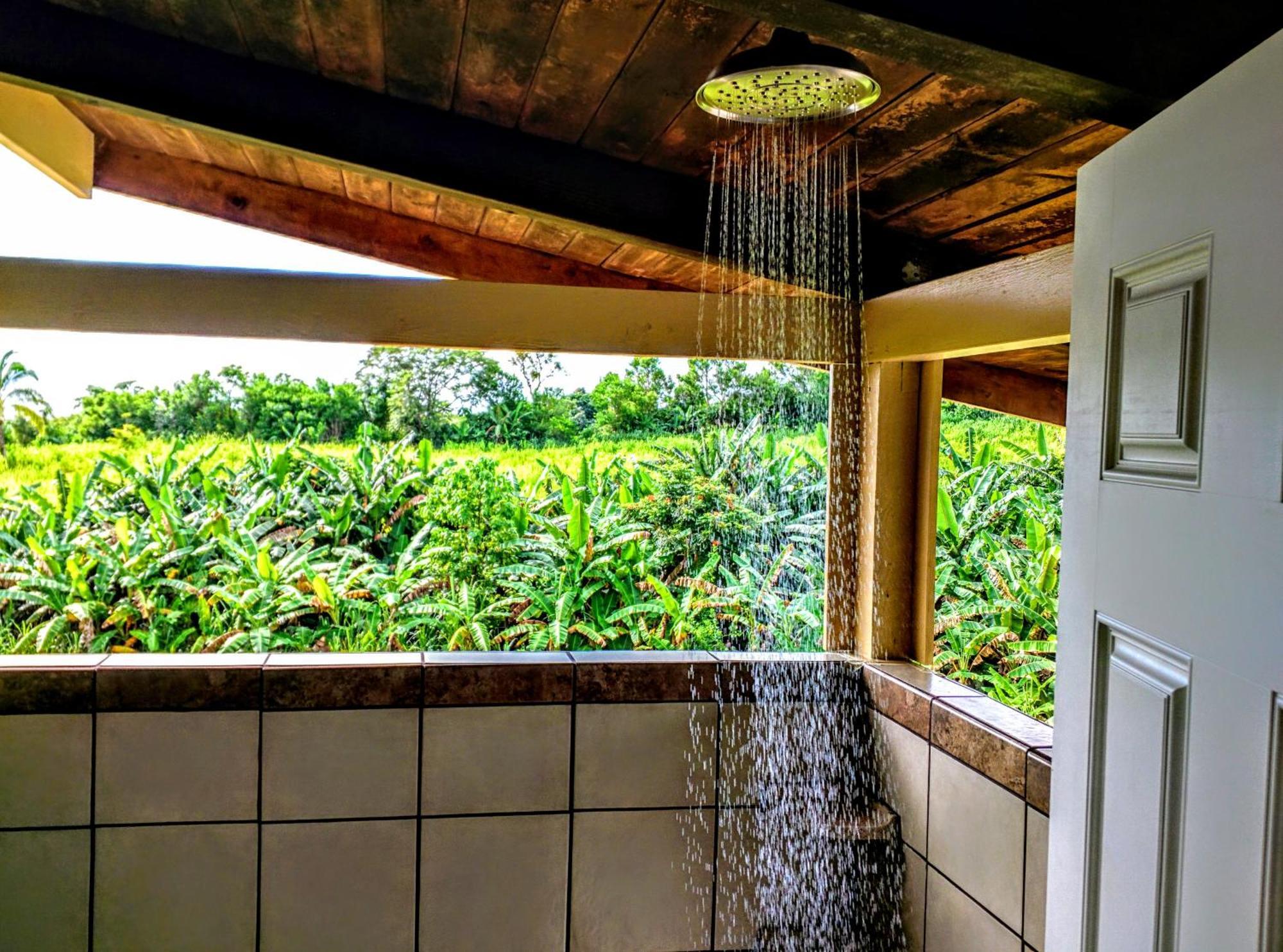 Hamakua Guesthouse Pepeekeo ภายนอก รูปภาพ